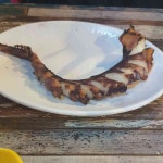 짝태앤노가리 고양백석점 - 일산동구 짝태, 맥주 맛집 | 다이닝코드, 빅데이터 맛집검색