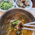 토끼다방 - 삼척 다방 맛집 | 다이닝코드, 빅데이터 맛집검색