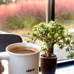 청도 오브제토 커피 - AI 딩코의 맛집 공략