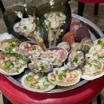 진이네 조삼포 - 덕천 조개구이, 조개 맛집 - 다이닝코드