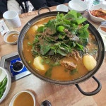 원조양평신내서울해장국 인주점 - 아산 해장국, 내장탕 맛집 | 다이닝코드, 빅데이터 맛집검색