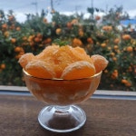 제주특별자치도 서귀포시 남원읍 위미리 4057-1 주소 검색 결과 1곳 - 다이닝코드