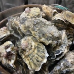 꼬꼬댁 - 청량리 통닭, 닭똥집 맛집 | 다이닝코드, 빅데이터 맛집검색