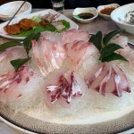 대정가든 - 완도 육회, 육회비빔밥 맛집 - 다이닝코드