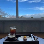 표선면 스콘 맛집 Top5 - 다이닝코드