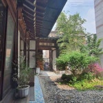 한옥카페 더홈서울, 분위기 좋은 고양이 카페 - AI 딩코의 맛집 공략