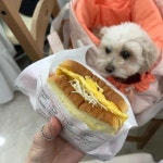 이삭토스트 - 명일 토스트, 햄치즈토스트 맛집 | 다이닝코드, 빅데이터 맛집검색