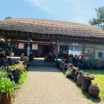 감낭집 - 표선 파전, 장터국밥 맛집 - 다이닝코드