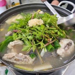 주문진항 테마별 맛집 추천 - 다이닝코드, 빅데이터 맛집검색