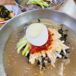 평창메밀막국수 - 상계역 막국수, 메밀막국수 맛집 | 다이닝코드, 빅데이터 맛집검색