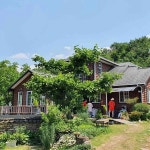 경상북도 안동시 일직면 귀미리 음식 랭킹 - 다이닝코드