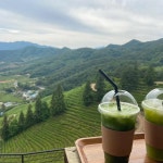 전라남도 보성군 회천면 음식 랭킹 - 다이닝코드