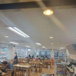 쭈꾸미보리밥 - 화곡 쭈꾸미, 도토리전 맛집 - 다이닝코드