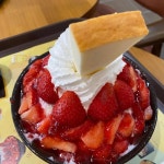 설빙 - 순천 빙수, 인절미빙수 맛집 | 다이닝코드, 빅데이터 맛집검색