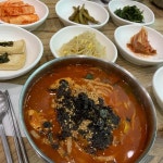 강원+양양군+손양면 음식 랭킹 - 다이닝코드, 빅데이터 맛집검색