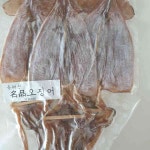 강릉 중앙시장 횟집 파란간판집 - 강릉 광어회, 생선회 맛집 | 다이닝코드, 빅데이터 맛집검색