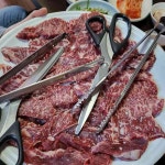 토산정 - 경주 닭요리, 한방오리 맛집 | 다이닝코드, 빅데이터 맛집검색