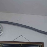 서울특별시 중구 신당동 236-276 주소 검색 결과 1곳 - 다이닝코드