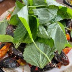 제주 돌문어의 매력에 푹 빠진 소금바치 순이네 - AI 딩코의 맛집 공략