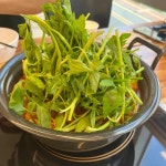 등촌샤브칼국수 경기대점 - 경기대 샤브샤브, 칼국수 맛집 | 다이닝코드, 빅데이터 맛집검색