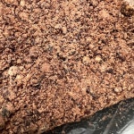 쎄라비 - 숙대 카페, 게임카페 맛집 | 다이닝코드, 빅데이터 맛집검색