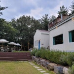 보령 아늑한카페 맛집 Top10 - 다이닝코드