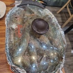 회먹고싶은날에 - 동탄 광어, 횟집 맛집 | 다이닝코드, 빅데이터 맛집검색