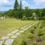 충청남도 천안시 동남구 풍세면 용정리 맛집 Top20 - 다이닝코드