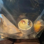 몽떼 - 배곧 케이크, 딸기케이크 맛집 | 다이닝코드, 빅데이터 맛집검색