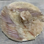 매미횟집 - 진해 횟집, 자연산회 맛집 | 다이닝코드, 빅데이터 맛집검색