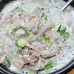 김해돼지국밥 - 김해 돼지국밥, 국밥 맛집 | 다이닝코드, 빅데이터 맛집검색