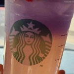 예술의 전당 내 스타벅스 - AI 딩코의 맛집 공략