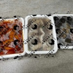 충청북도 진천군 덕산읍 연미1길 43 주소 검색 결과 1곳 - 다이닝코드