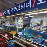 제주고씨네 - 완도 횟집, 삼치회 맛집 | 다이닝코드, 빅데이터 맛집검색
