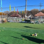 경기도 가평군 가평읍 경춘로 1983-12 주소 검색 결과 1곳 - 다이닝코드