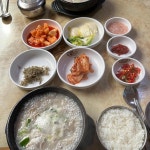 용궁단골식당 맛집 리뷰 - AI 딩코의 맛집 공략
