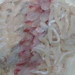 어궁 참가자미 횟집 - AI 딩코의 맛집 공략