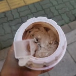 롯데리아 - 양산석산 버거, 치즈스틱 맛집 | 다이닝코드, 빅데이터 맛집검색