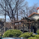 철원포크타운 - 철원 삼겹살, 정육식당 맛집 | 다이닝코드, 빅데이터 맛집검색