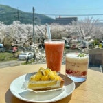 경상남도 밀양시 삼랑진읍 안태리 맛집 Top15 - 다이닝코드