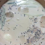 청솔칡냉면 - 장호원 냉면, 물냉면 맛집 | 다이닝코드, 빅데이터 맛집검색