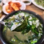 금강올갱이해장국 관양동1호본점 - 안양 올갱이, 올갱이해장국 맛집 - 다이닝코드