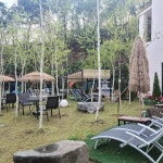 충청북도 서원구 남이면 남석로 맛집 Top5 - 다이닝코드