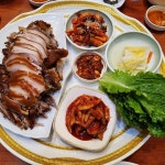 백년족발보쌈 - 탄현 족발, 어리굴젓 맛집 | 다이닝코드, 빅데이터 맛집검색