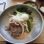 서안메밀집 - 고대 막국수, 메밀막국수 맛집 | 다이닝코드, 빅데이터 맛집검색