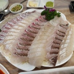 가락시장 해산물 맛집 금성횟집 - AI 딩코의 맛집 공략