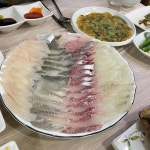 영도 활어 맛집 Top9 - 다이닝코드