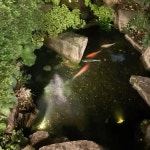 경남 창원시 마산합포구 중성동 맛집 Top100 - 다이닝코드