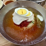 한약맛 밀면의 맛집, 춘하추동밀면 - AI 딩코의 맛집 공략