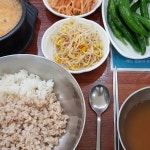 둔덕골영광보리밥 - 세종 보리밥, 청국장 맛집 | 다이닝코드, 빅데이터 맛집검색